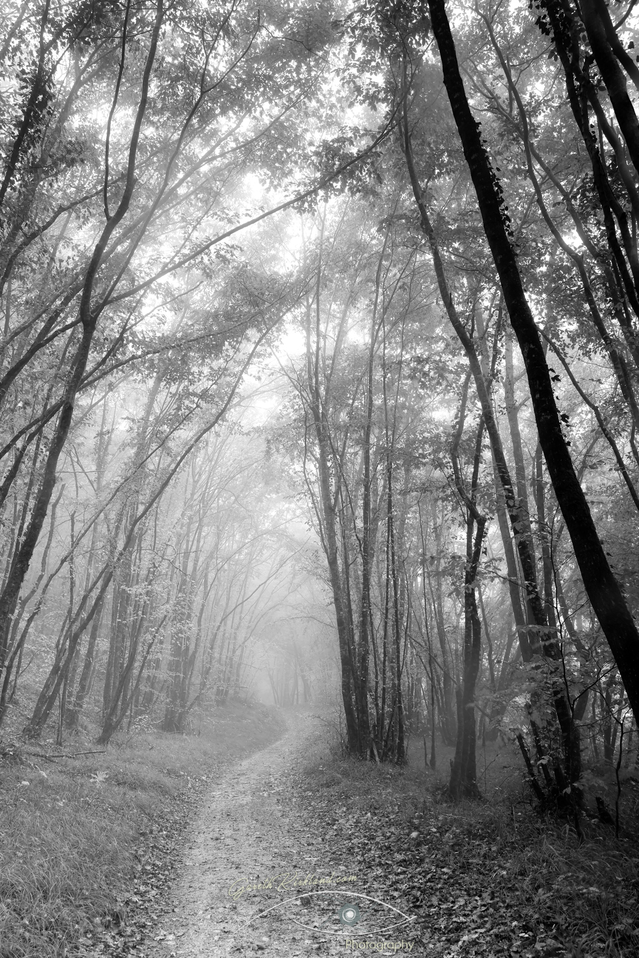 Black and White Photo Gallery