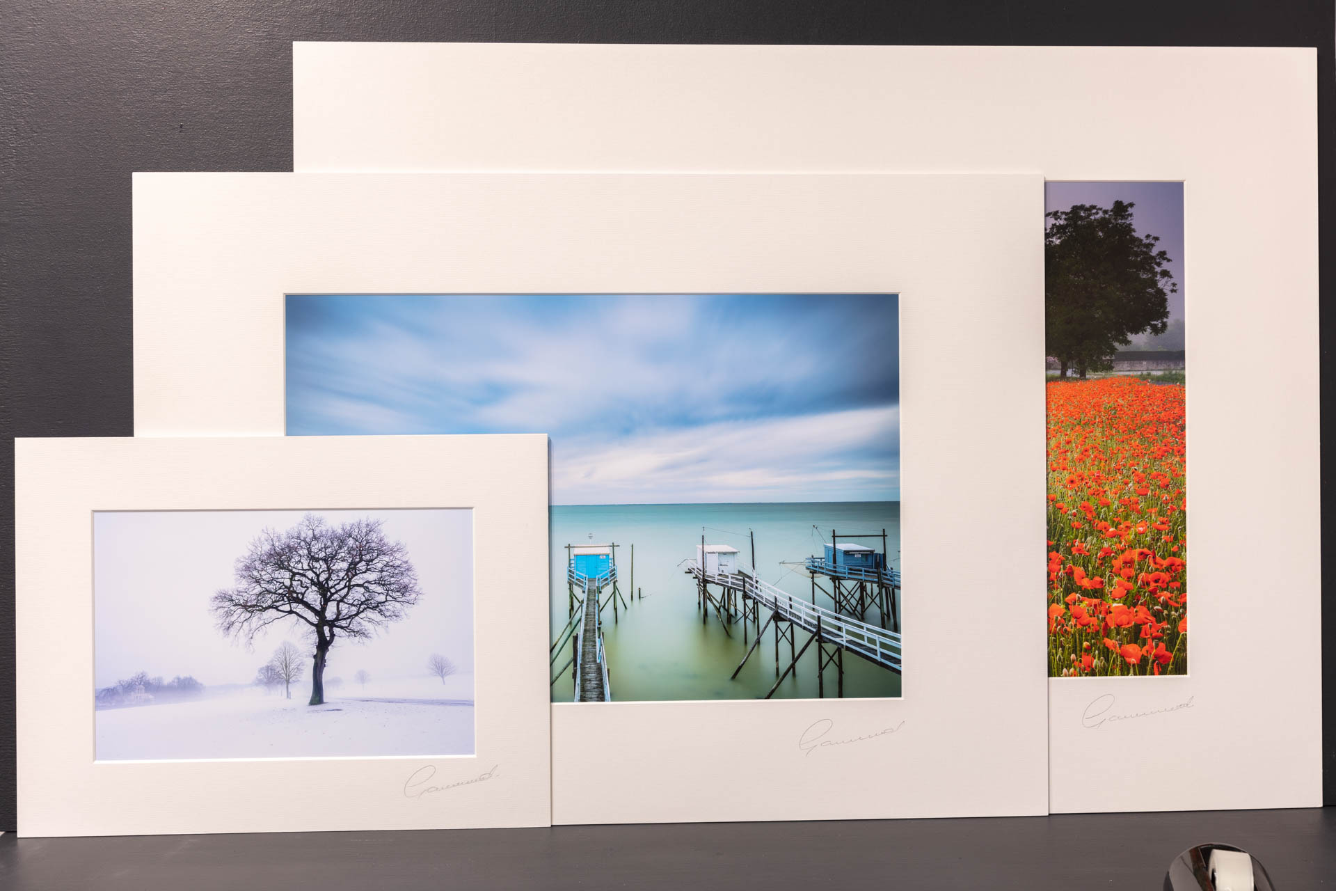 Mounted & Signed Images in Standard Frame Sizes