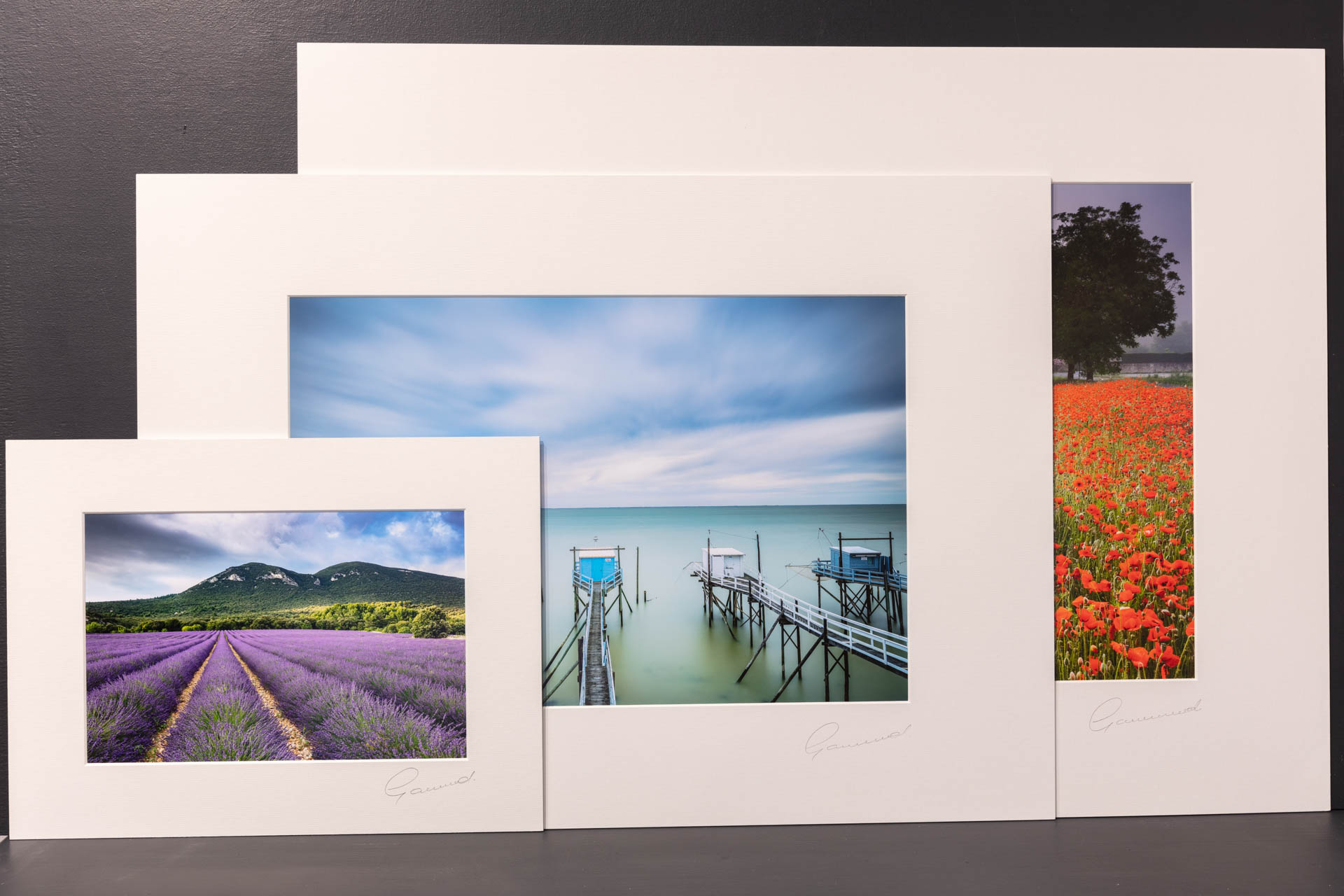 Mounted & Signed Images in Standard Frame Sizes