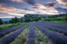 Saignon Sunrise Provence France-076