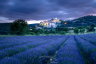 Long after Sunset Simaine la Rotonde Provence France-086